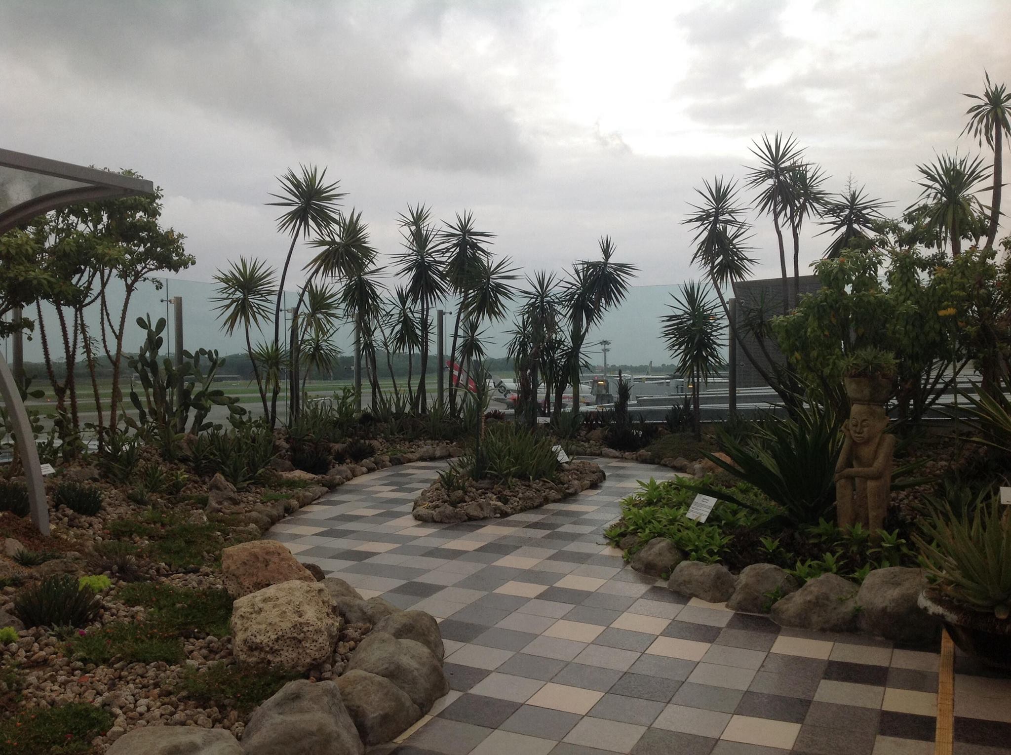 Singapūro oro uosto terasos