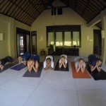 12557128_10153195375312540_1054677011_o