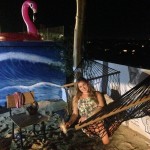 ant viešbučio stogo