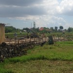 dabininkai. Labai dažnai tai būna moterys