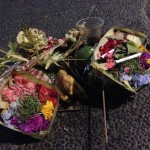 Aukos paliekamus VISUR