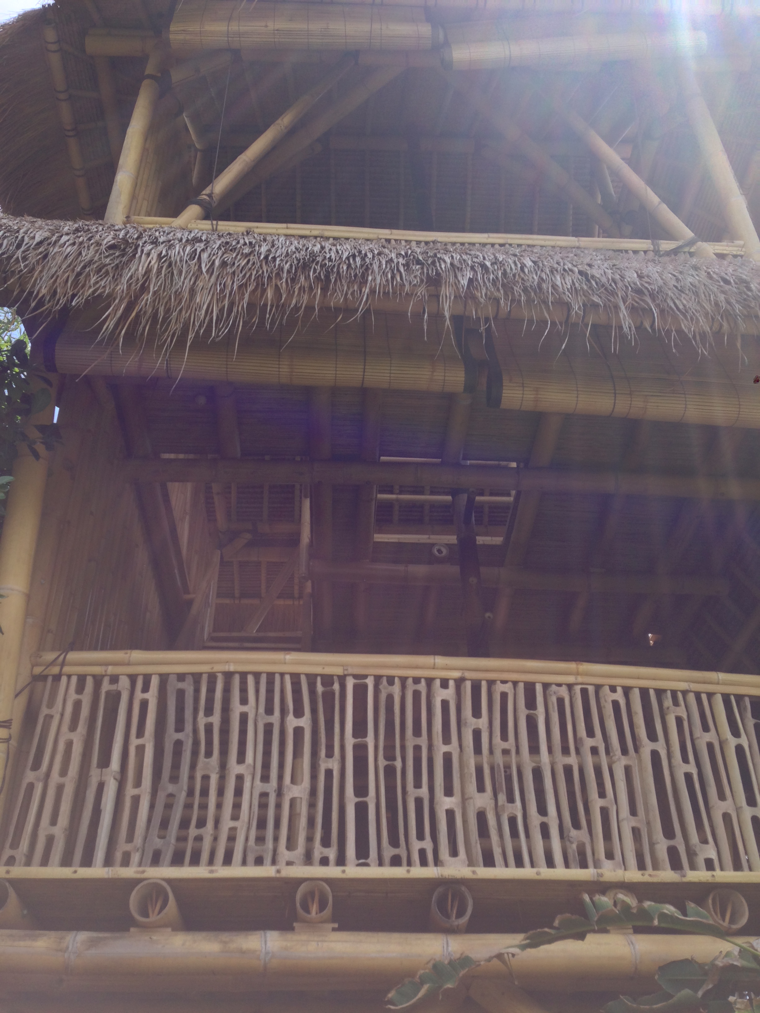 2016-01-08 11.57.36 HDR