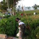 Dirba net ir vidurdienį, per kaitrą