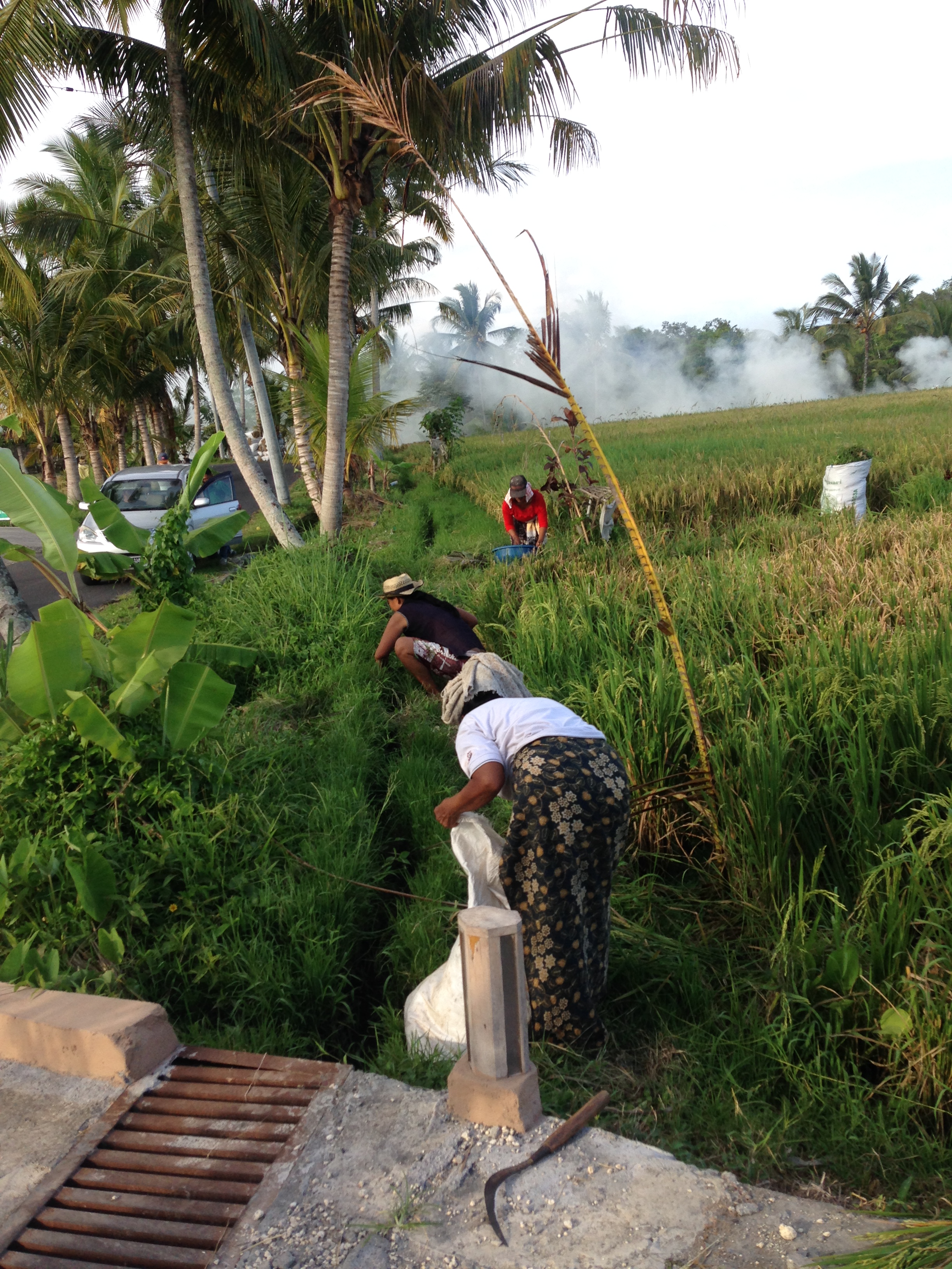 Dirba net ir vidurdienį, per kaitrą