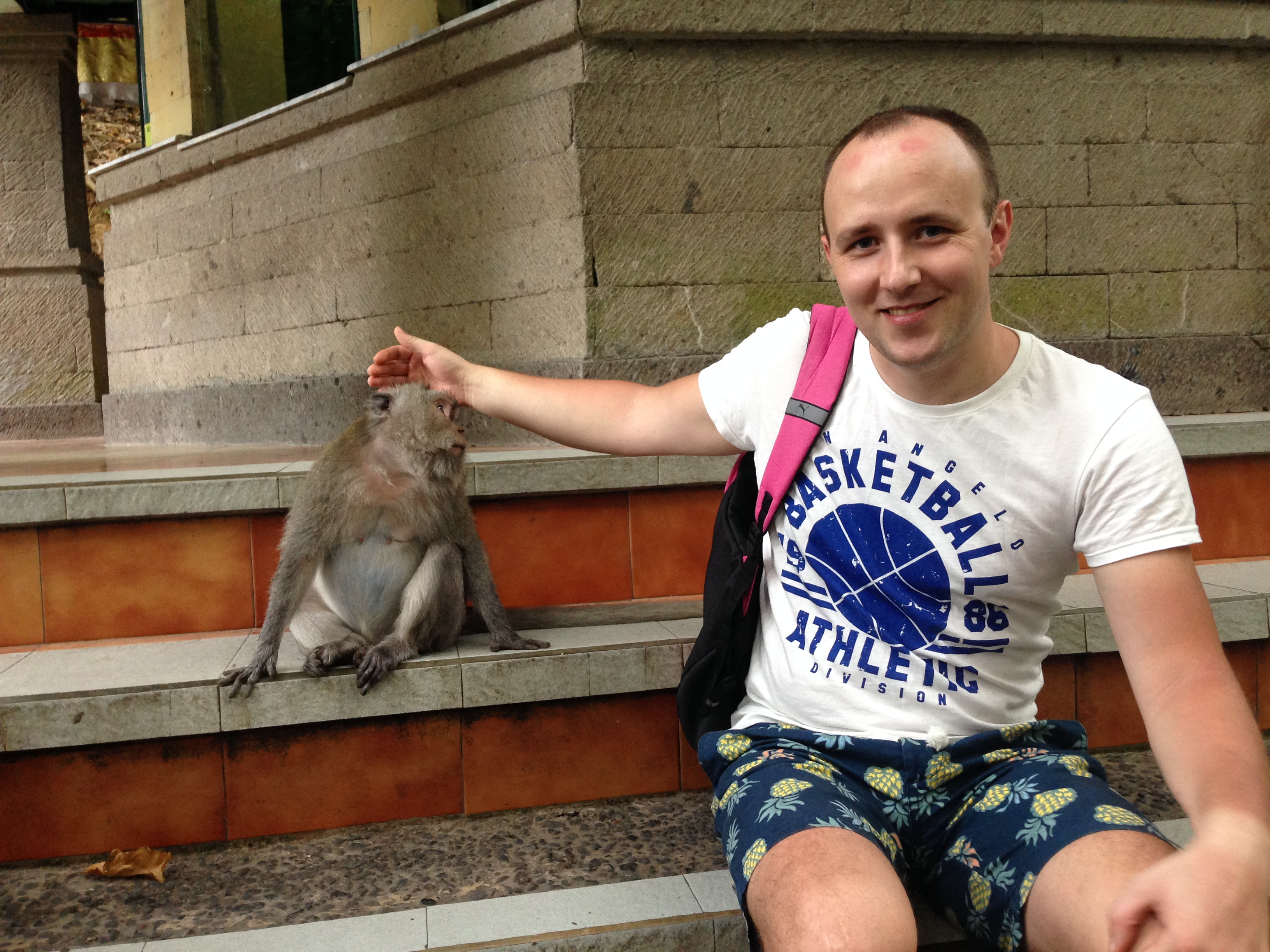 Prie įėjimo į mišką