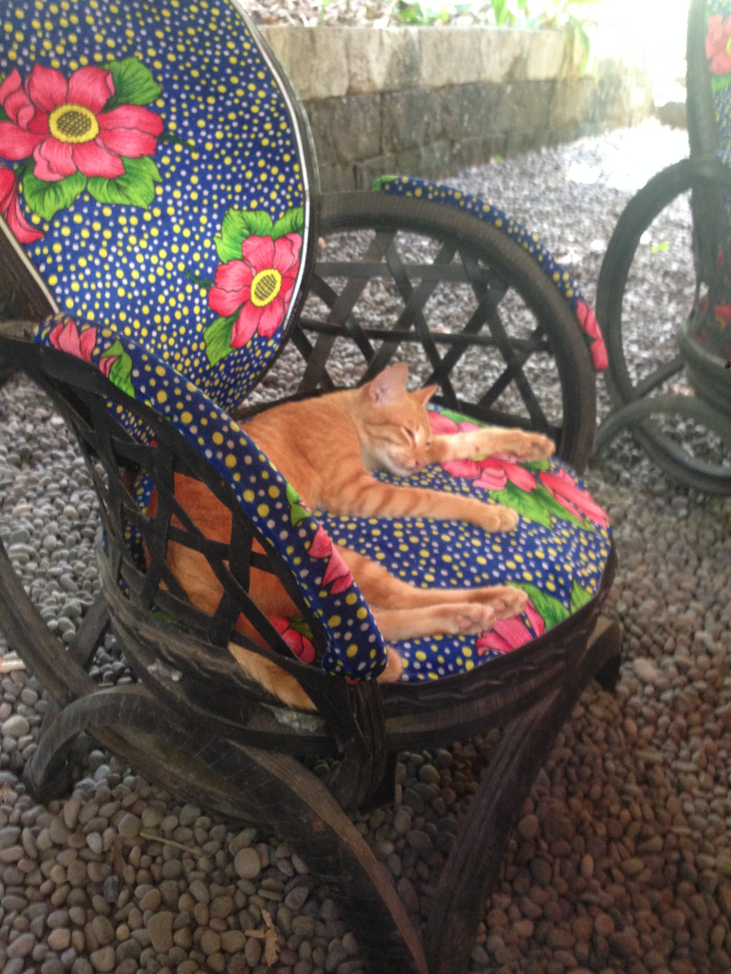 Eko krėslai iš padangų