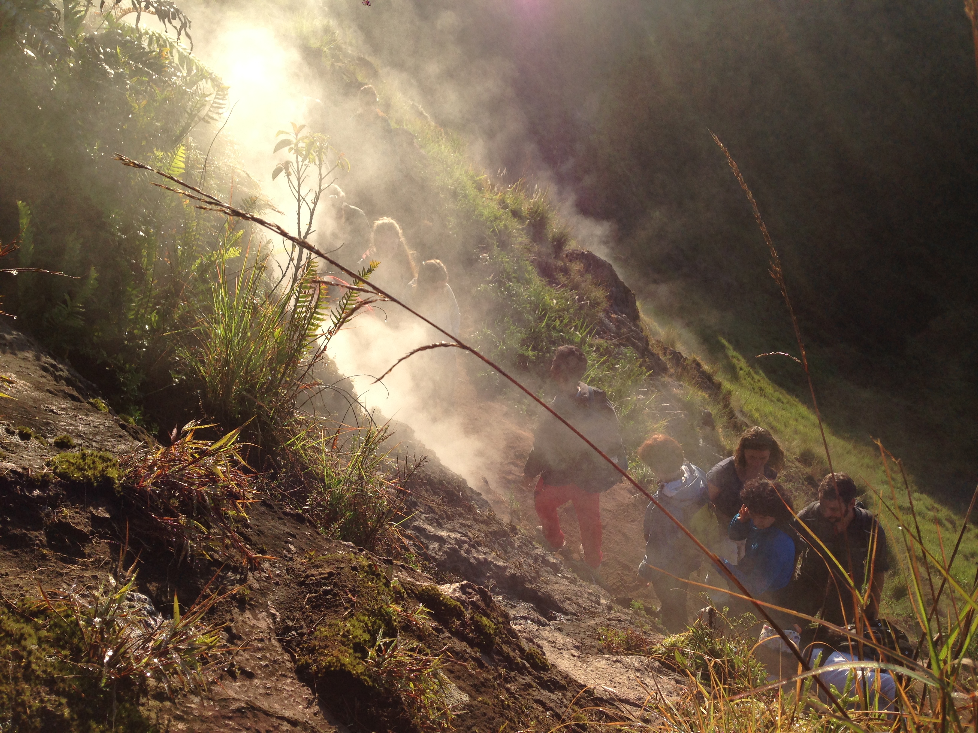 tarp garinių versmių