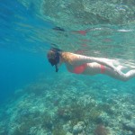 DCIM100GOPROGOPR1005.