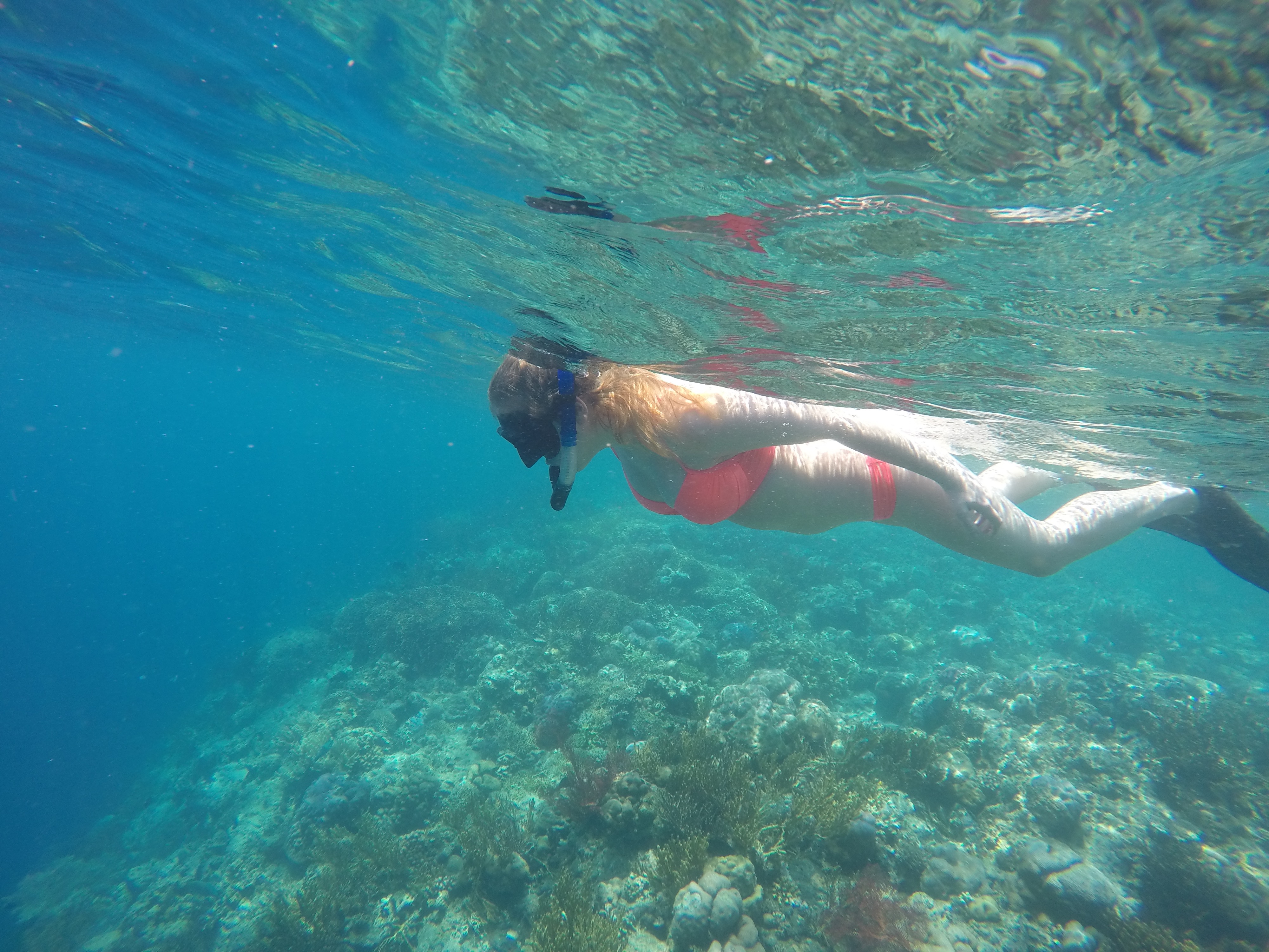 DCIM100GOPROGOPR1005.