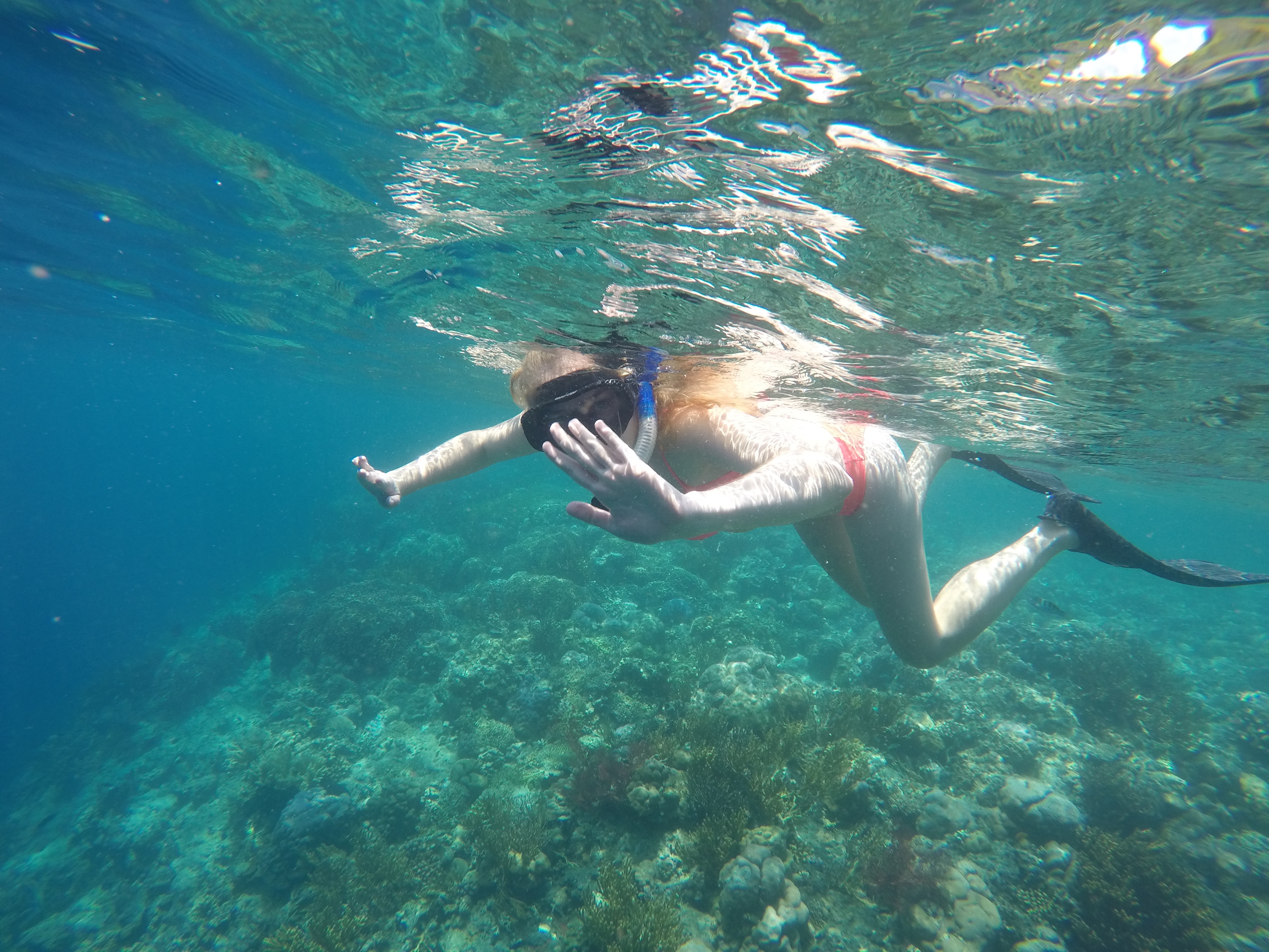 DCIM100GOPROGOPR1006.