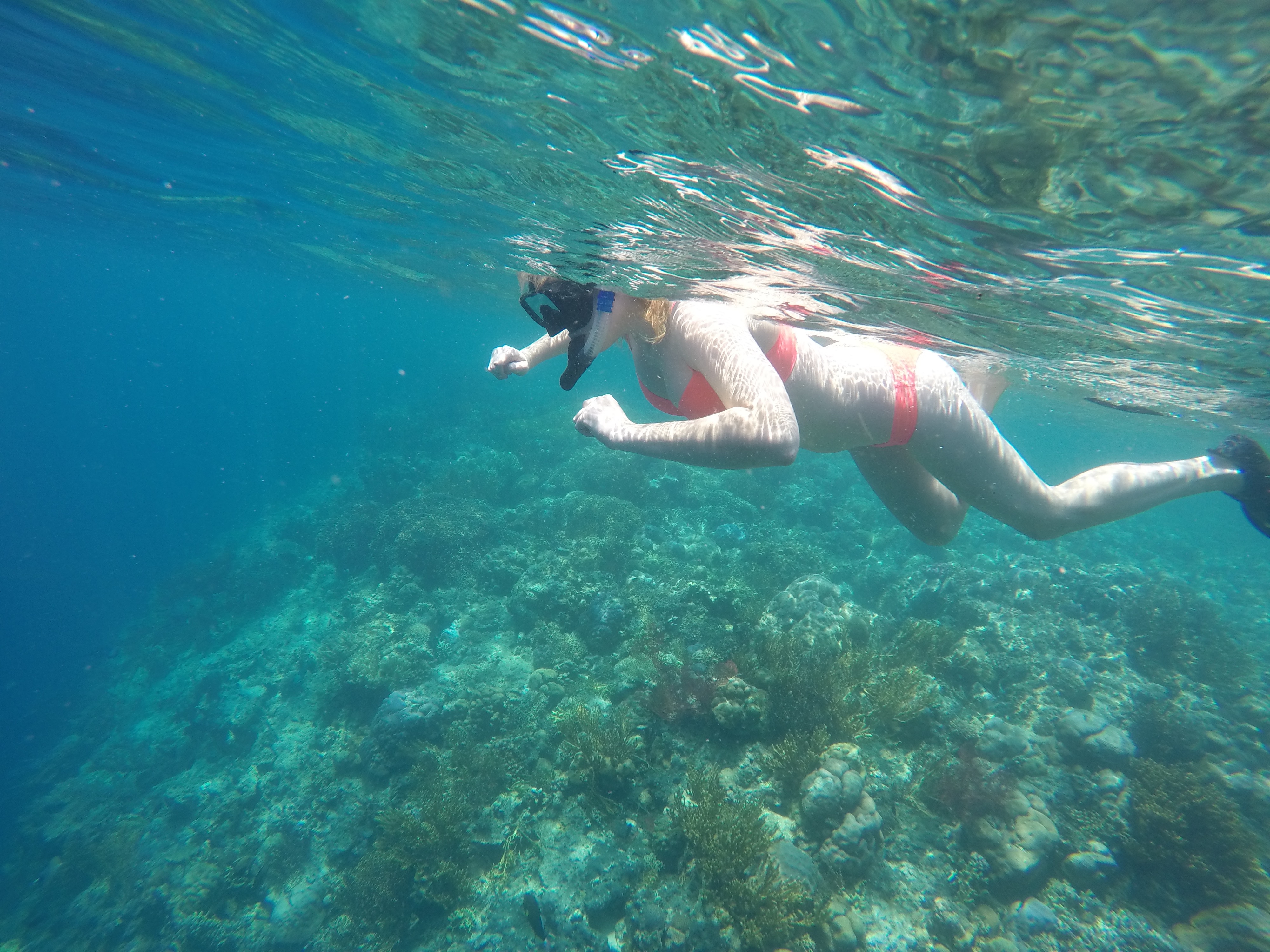 DCIM100GOPROGOPR1007.