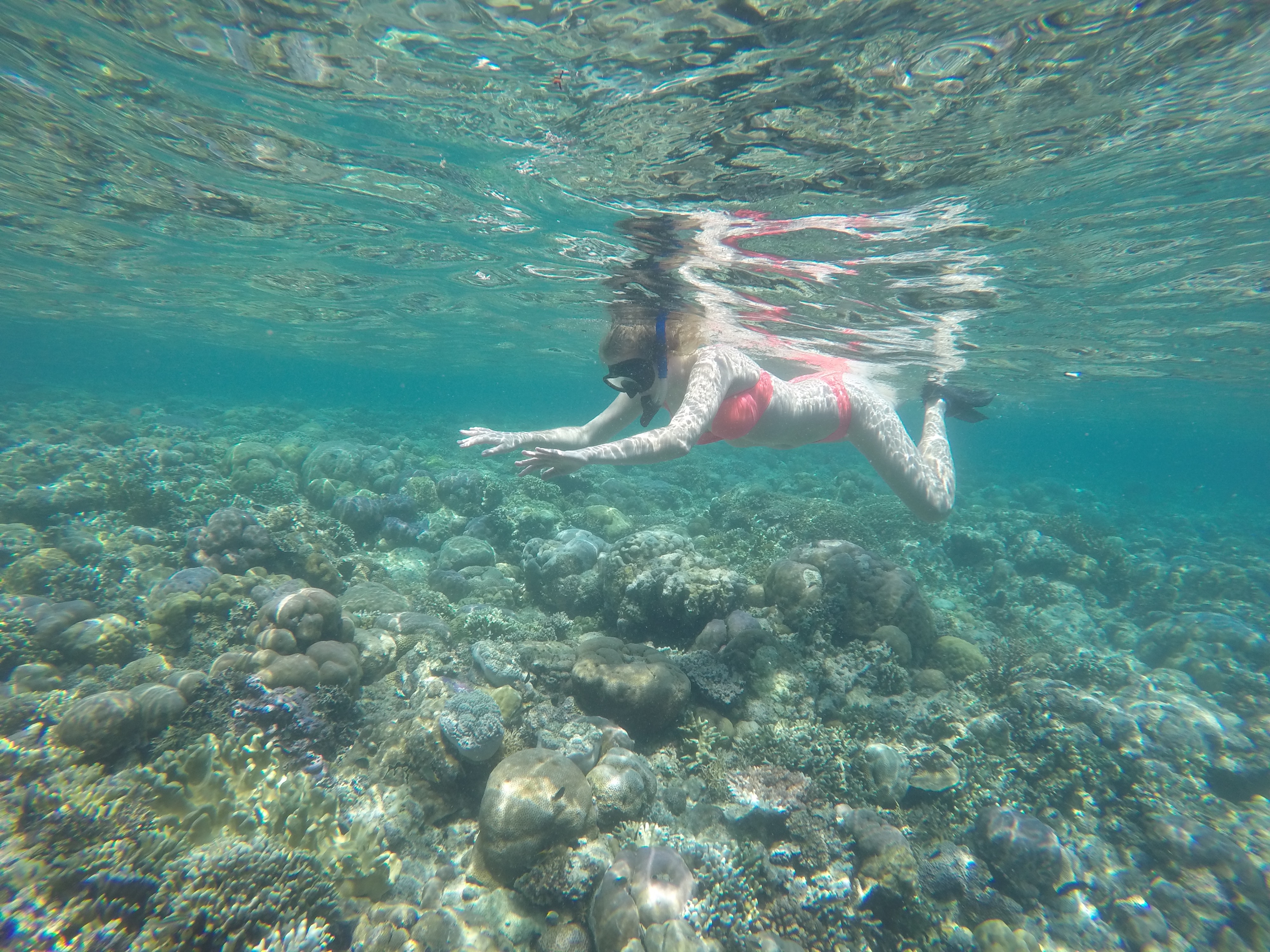 DCIM100GOPROGOPR1014.