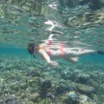 nuotraukoje matosi tik kokie 5 proc. spalvų