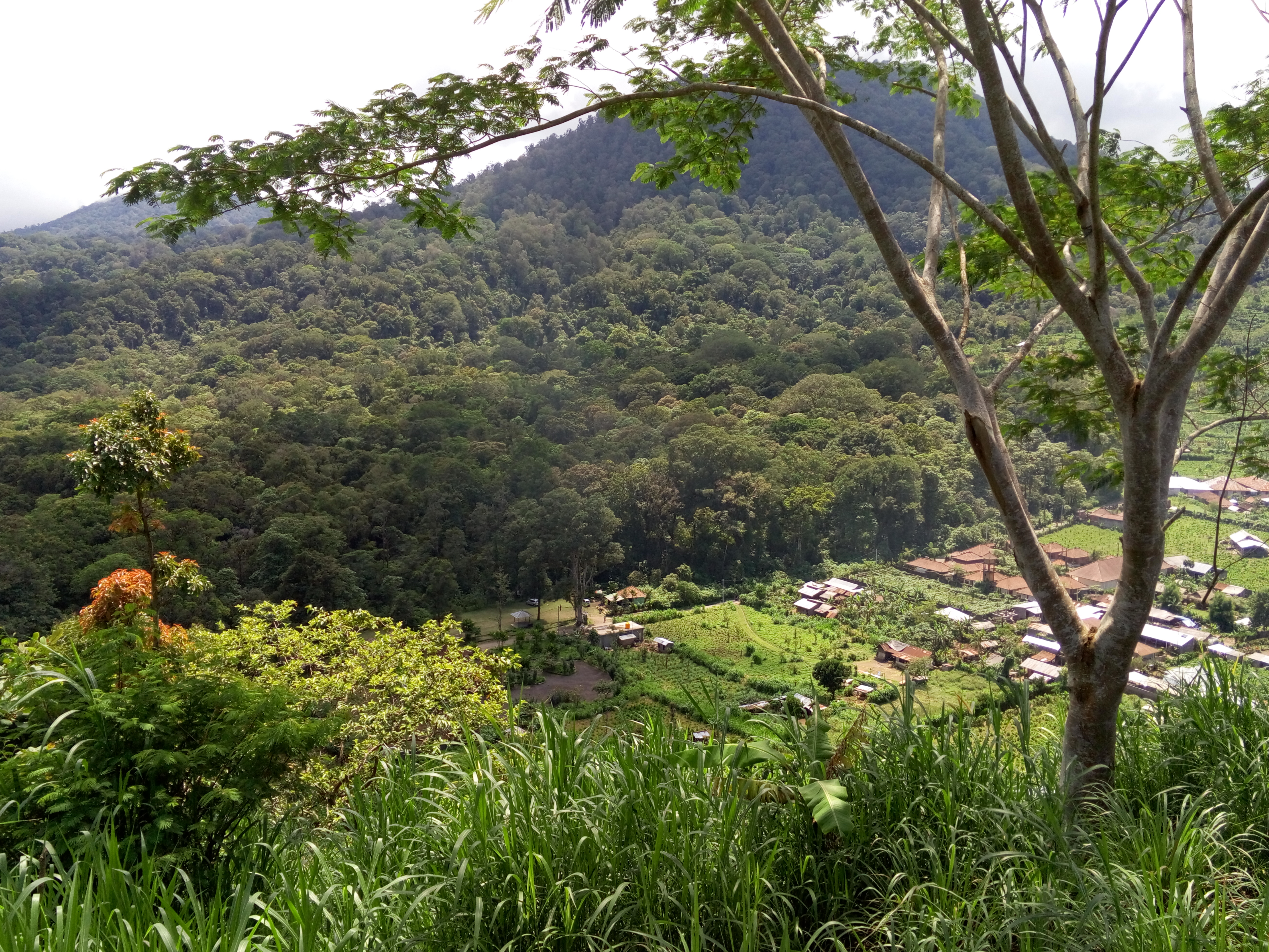 image20151230_051109270