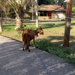 image20160118_170935329