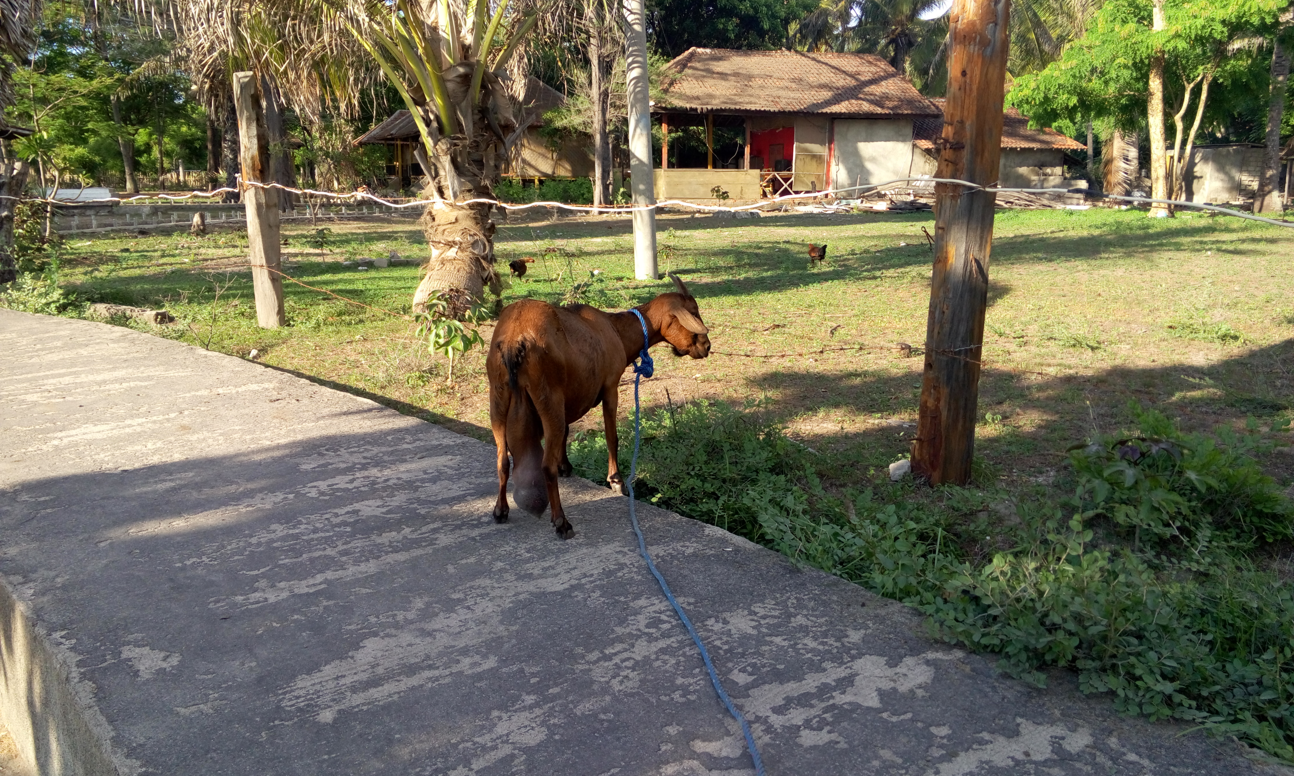 image20160118_170935329