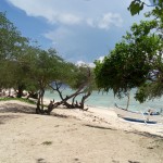 image20160119_123800460