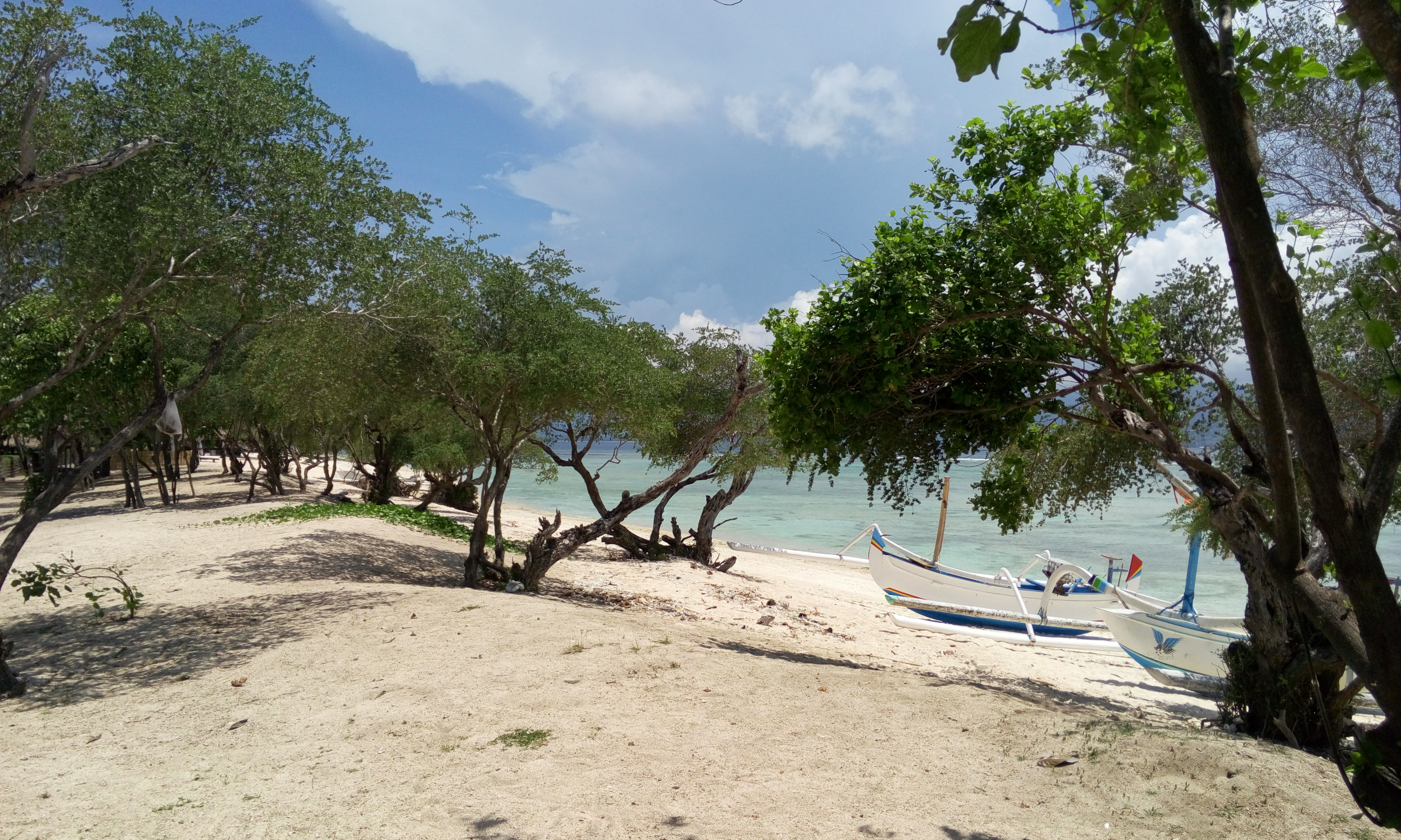 image20160119_123800460