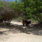 image20160119_123820349