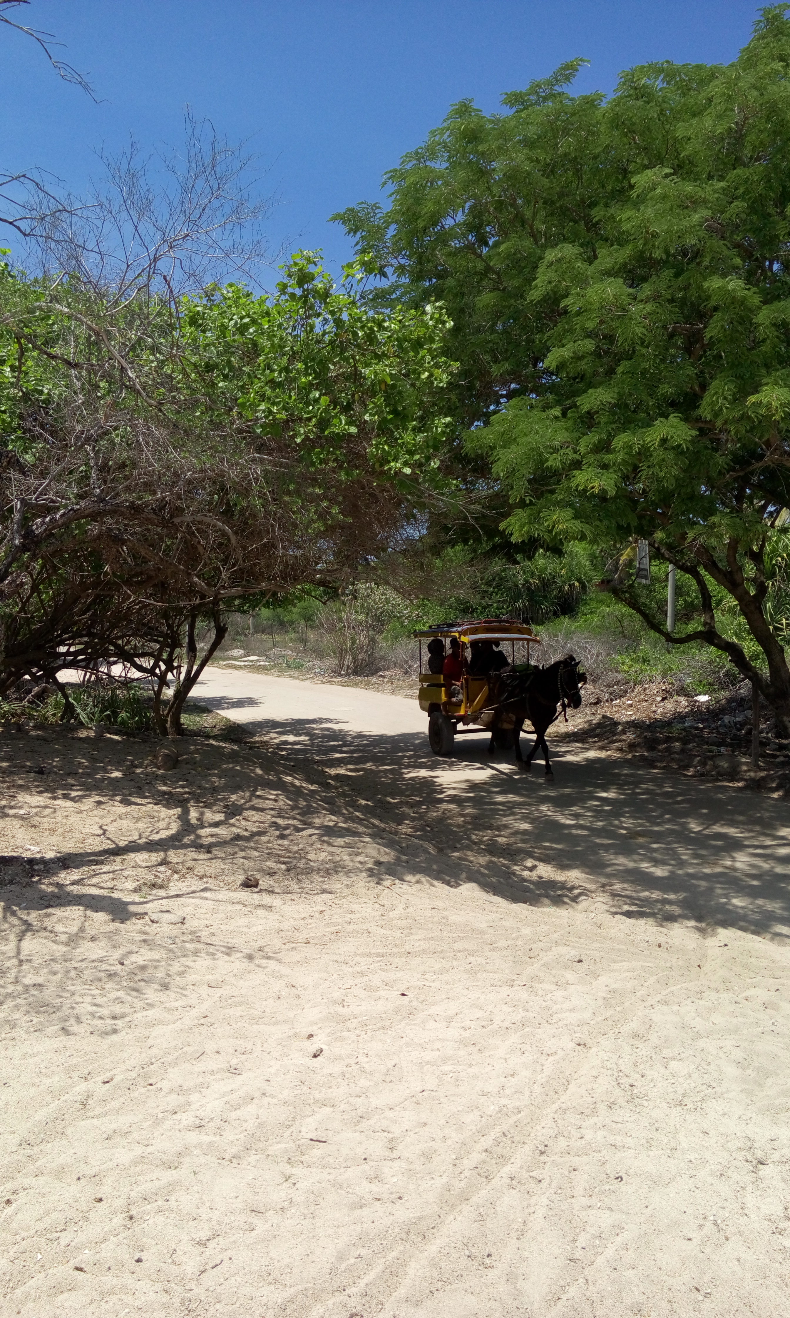 image20160119_123820349