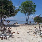 image20160119_124806783