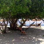 image20160119_125239579