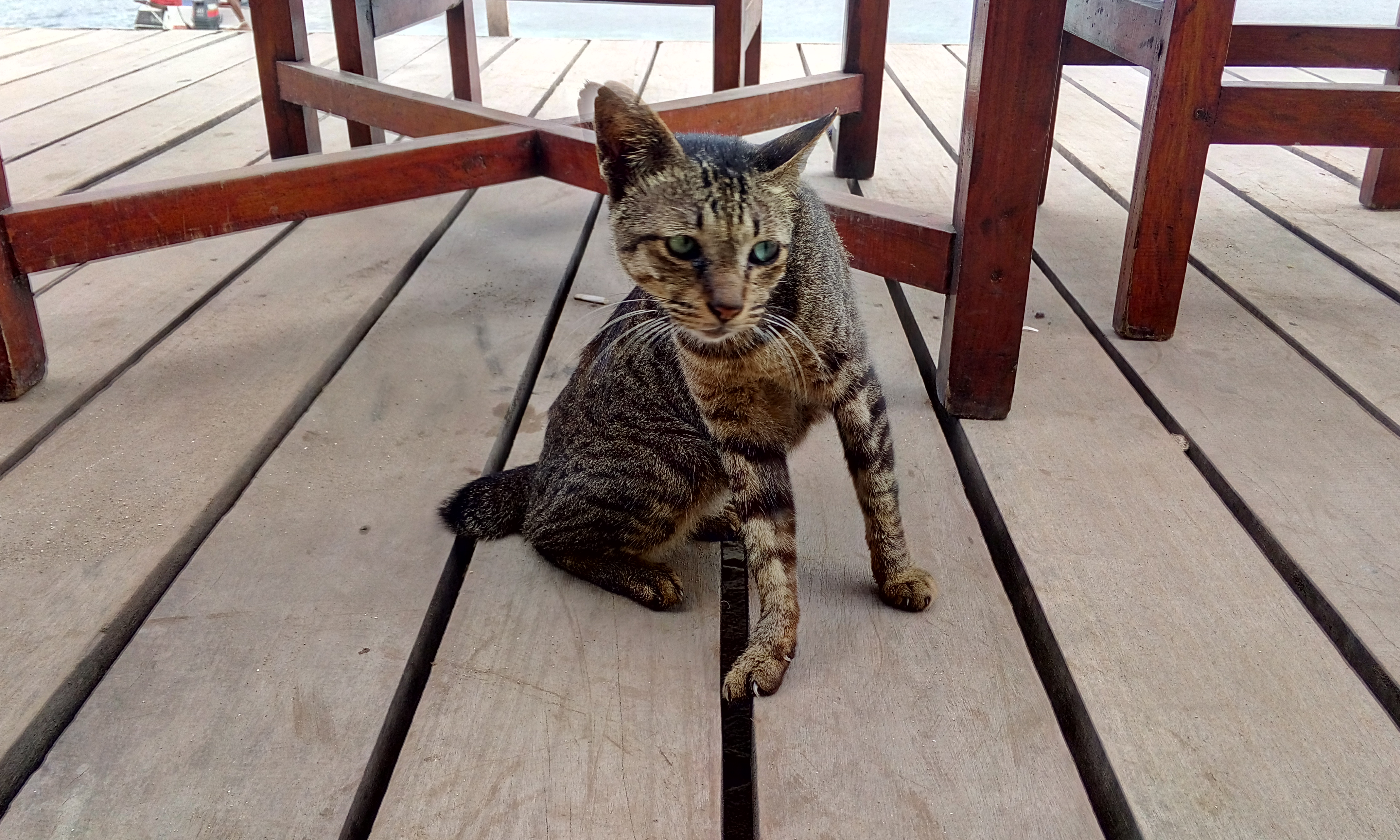 image20160119_143004366