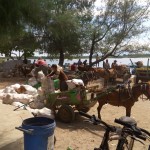 image20160120_103432380