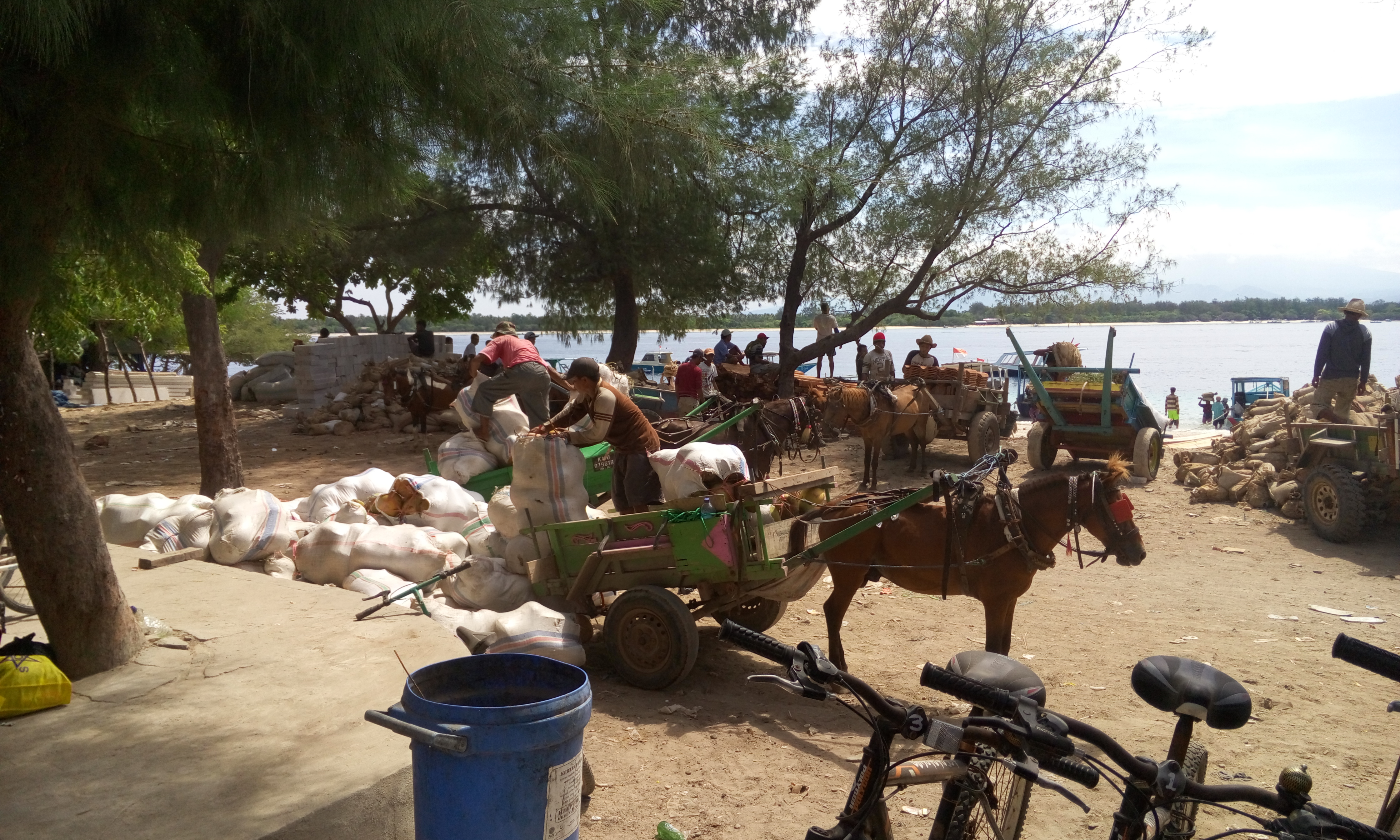 image20160120_103432380