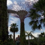 Garden by the Bay
