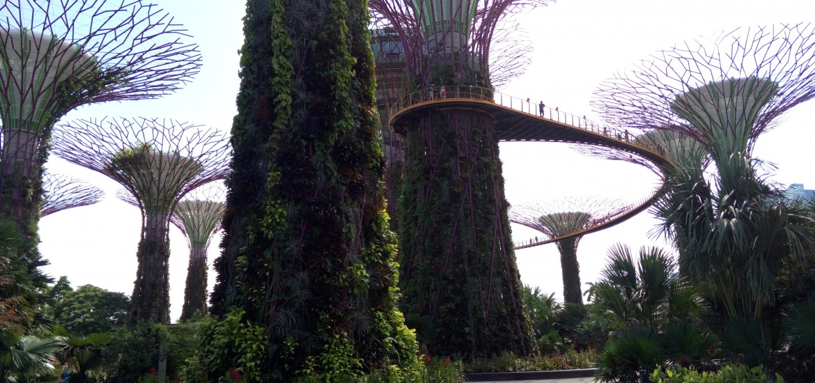 Garden by the Bay