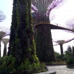 Garden by the Bay