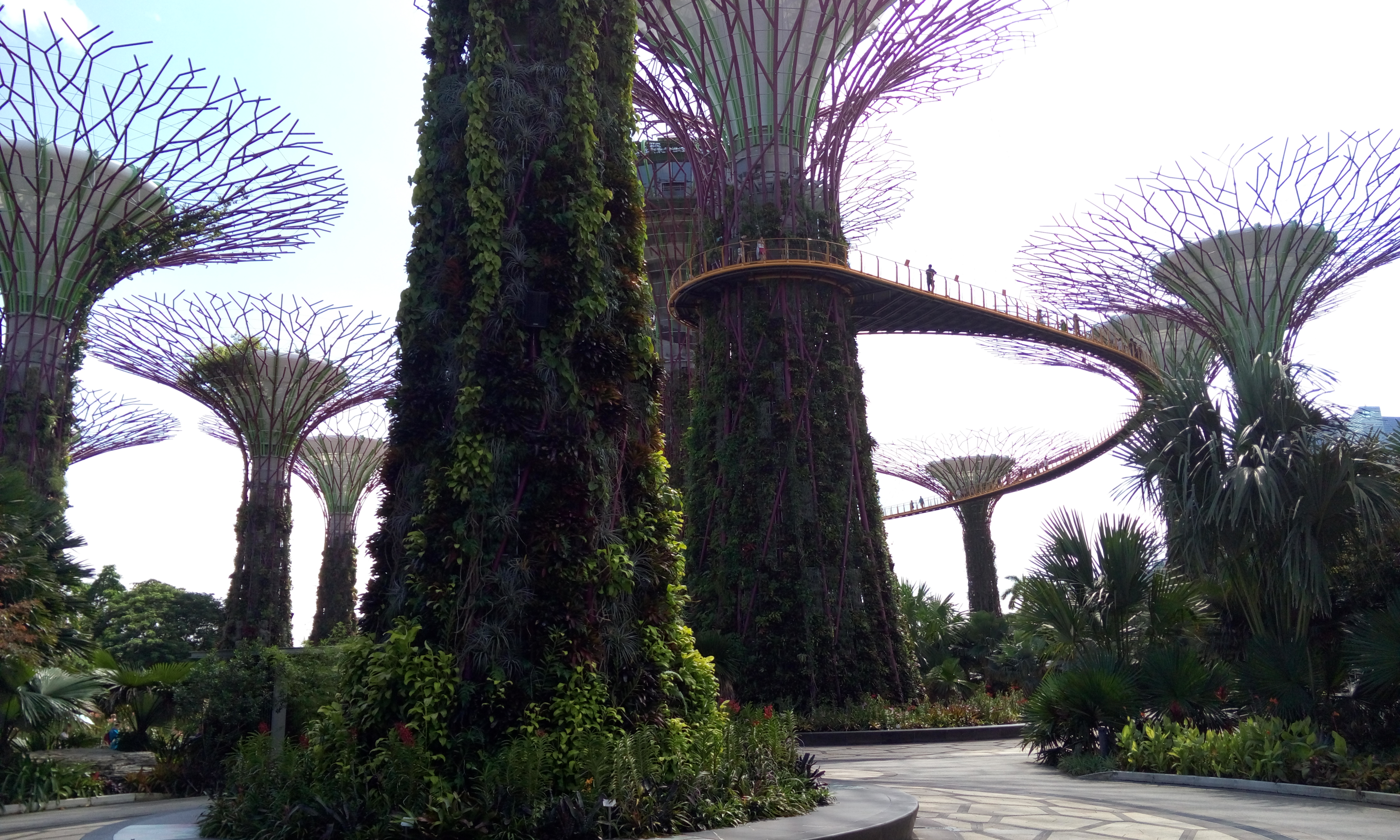 Garden by the Bay