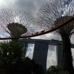 Garden by the Bay