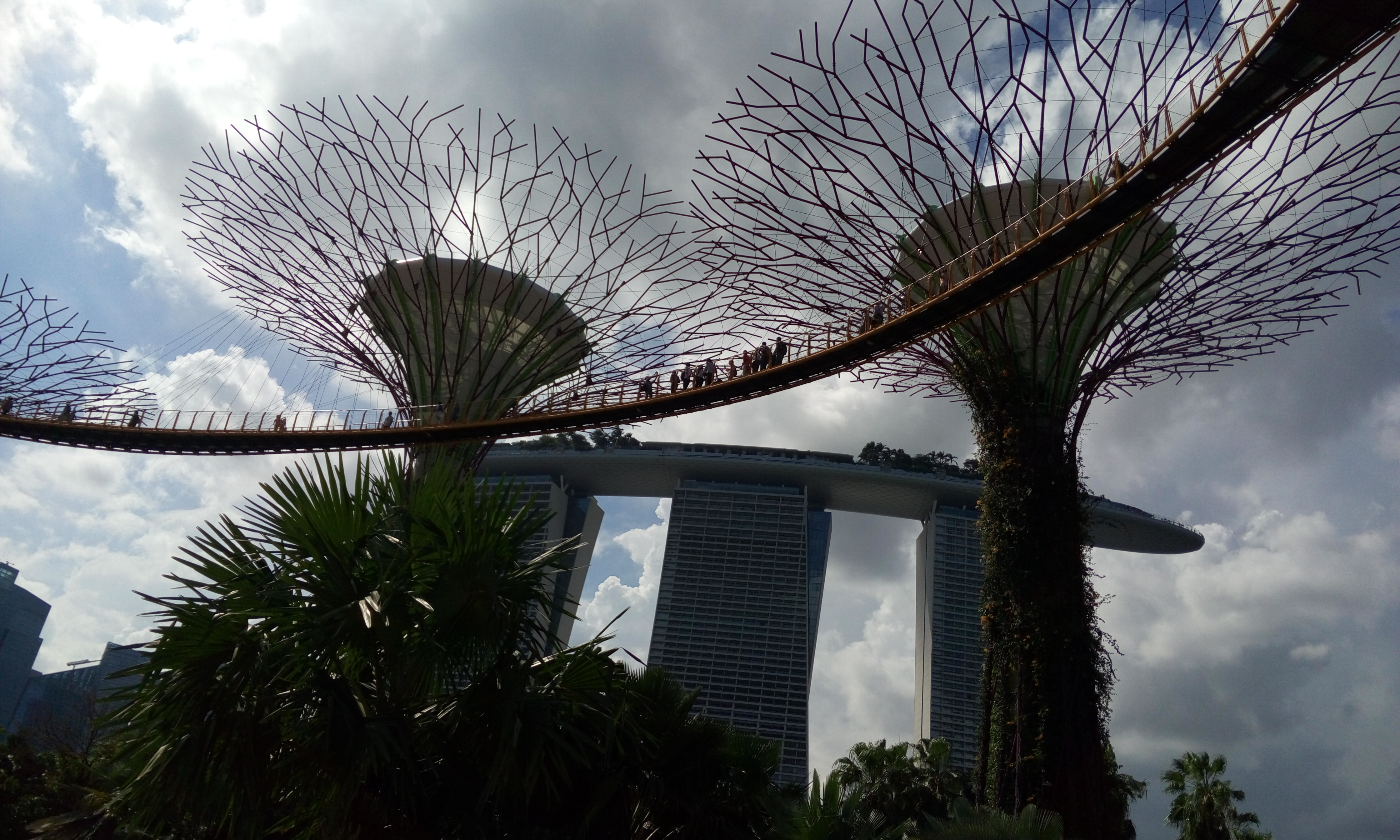 Garden by the Bay
