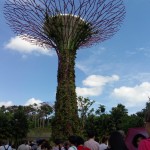 Garden by the Bay