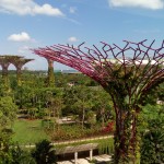 Garden by the Bay