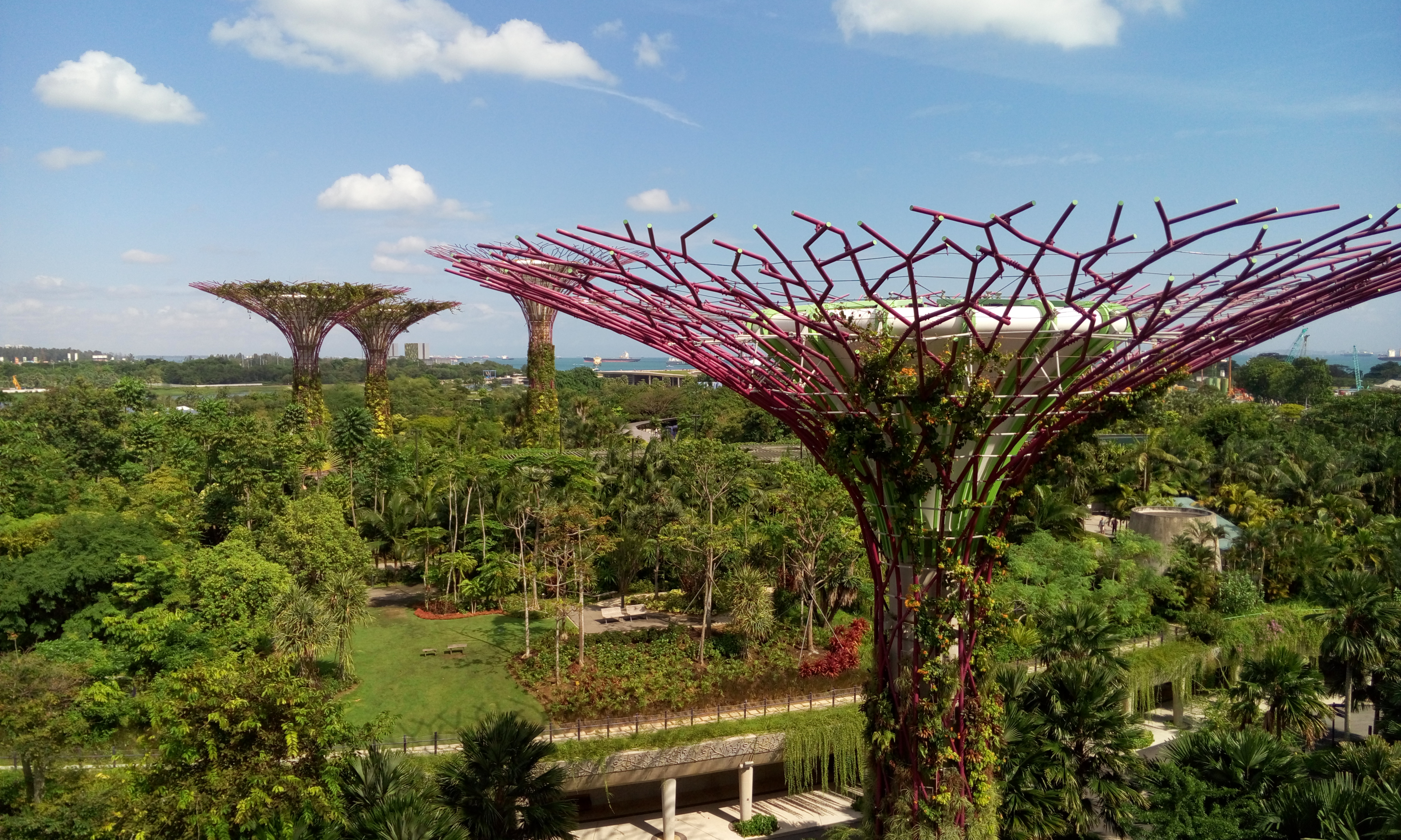 Garden by the Bay