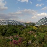 Garden by the Bay