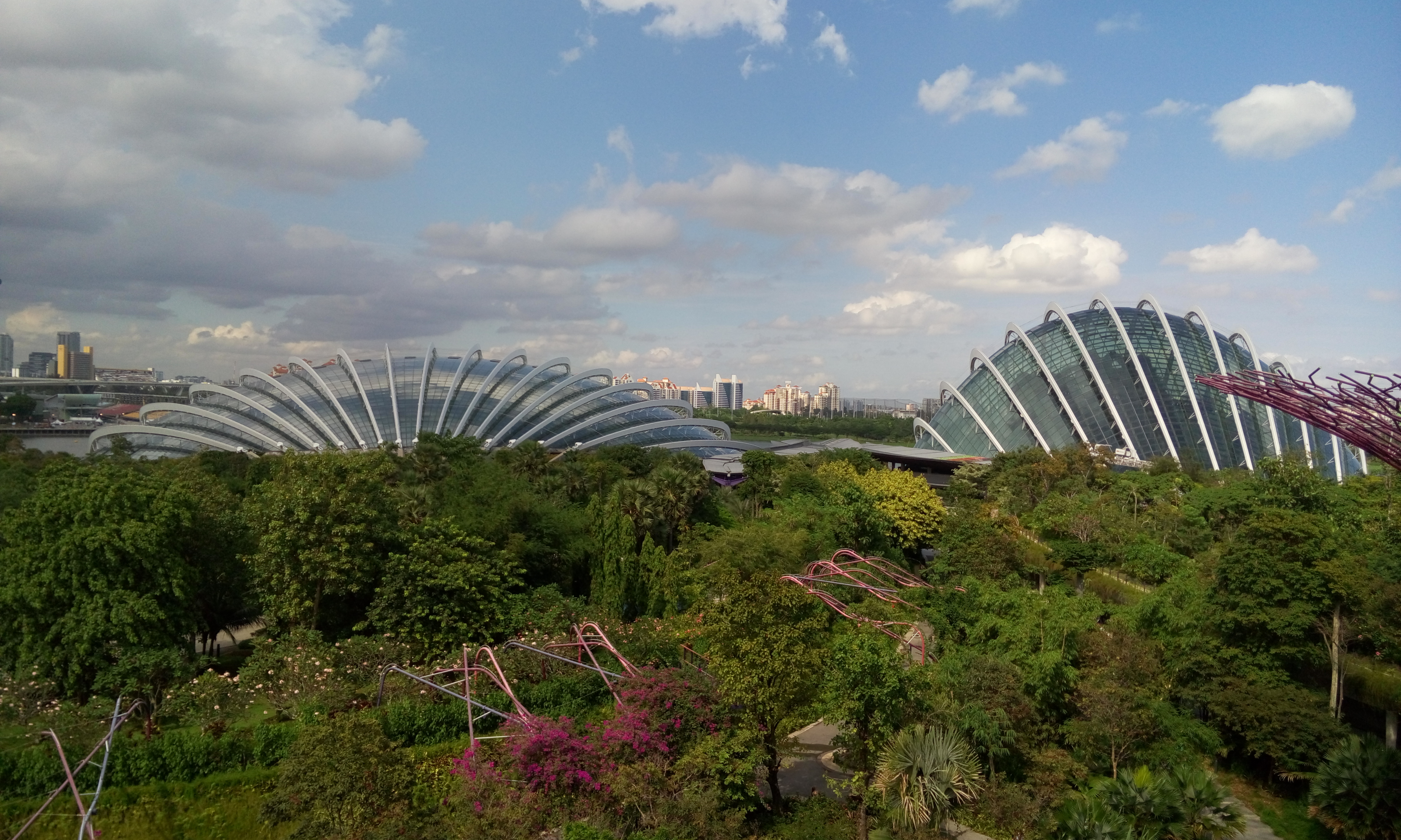 Garden by the Bay