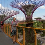 Garden by the Bay