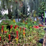 Cloud forest. Lego gėlės