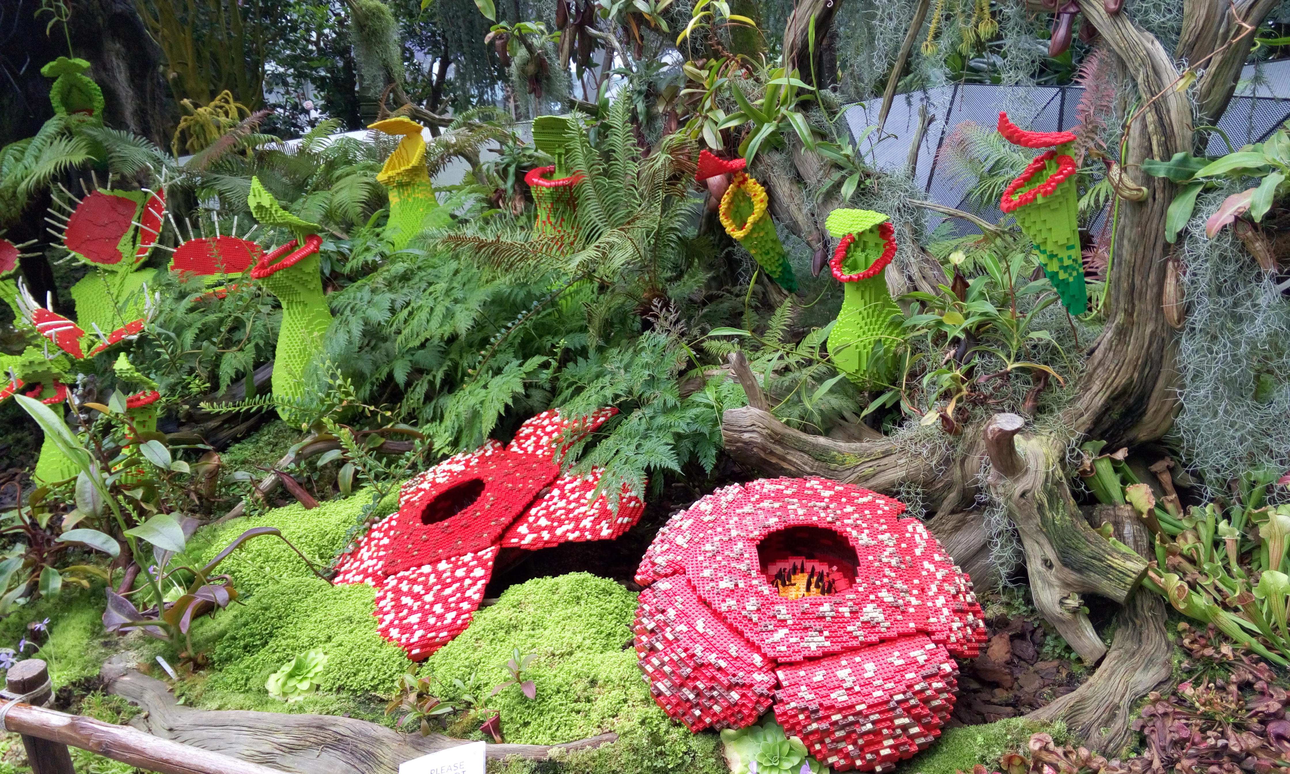 Cloud forest. Lego gėlės