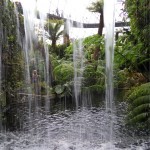 Cloud forest ir aš už krioklio