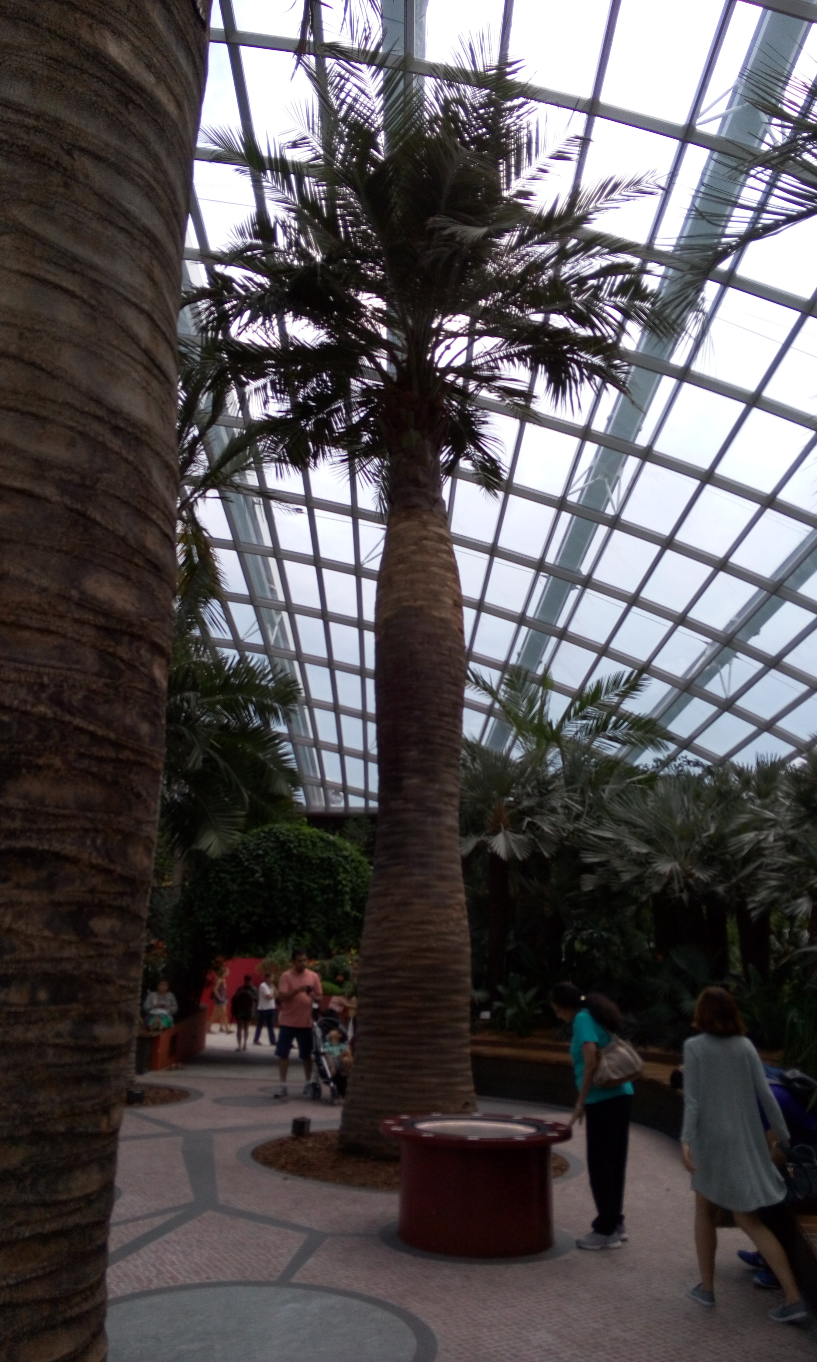 image20160123_171611700