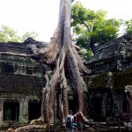 Ta Prohm šventykla