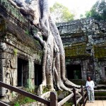 Ta Prohm šventykla