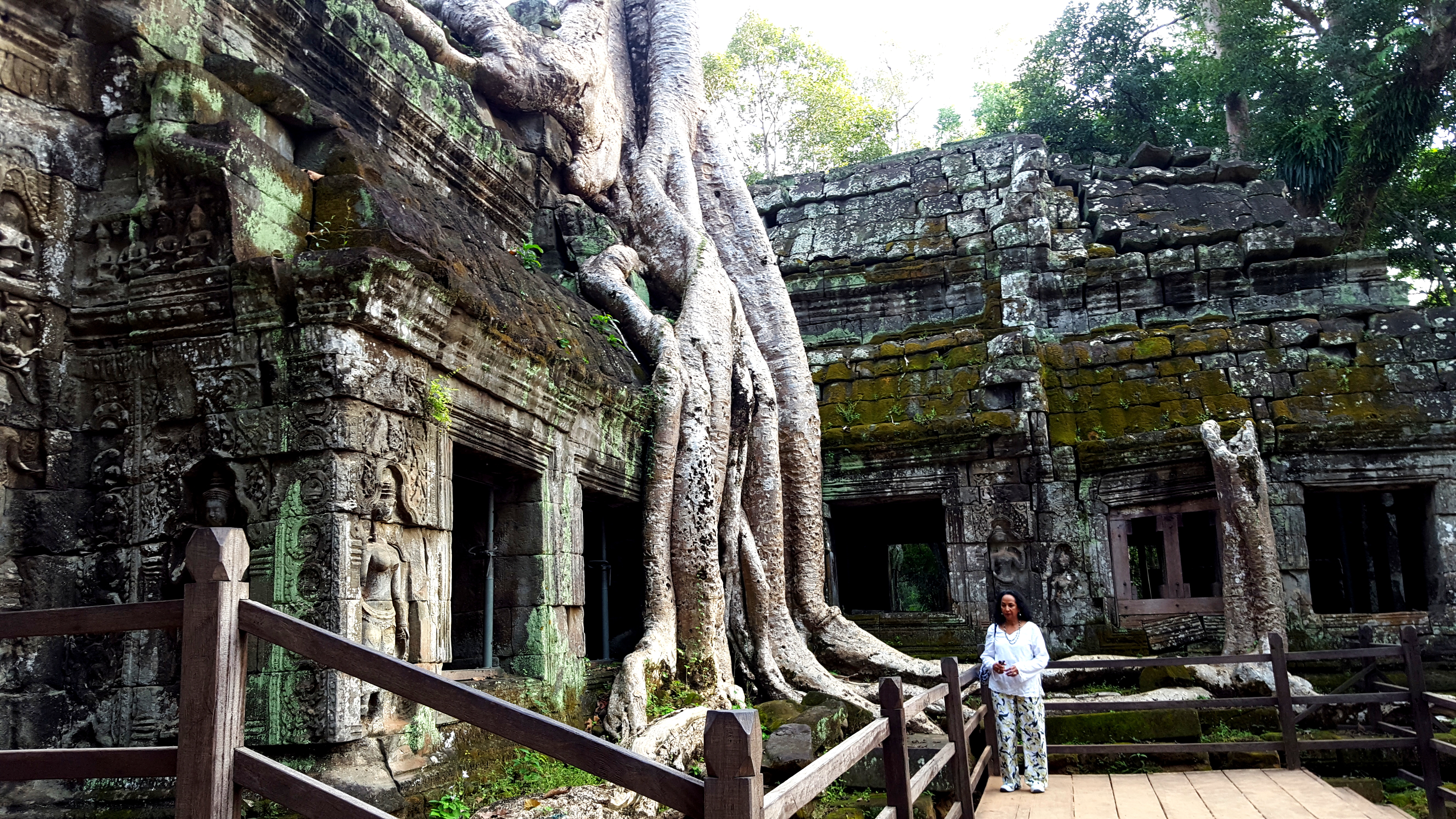 Ta Prohm šventykla