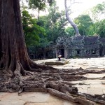 Ta Prohm šventykla