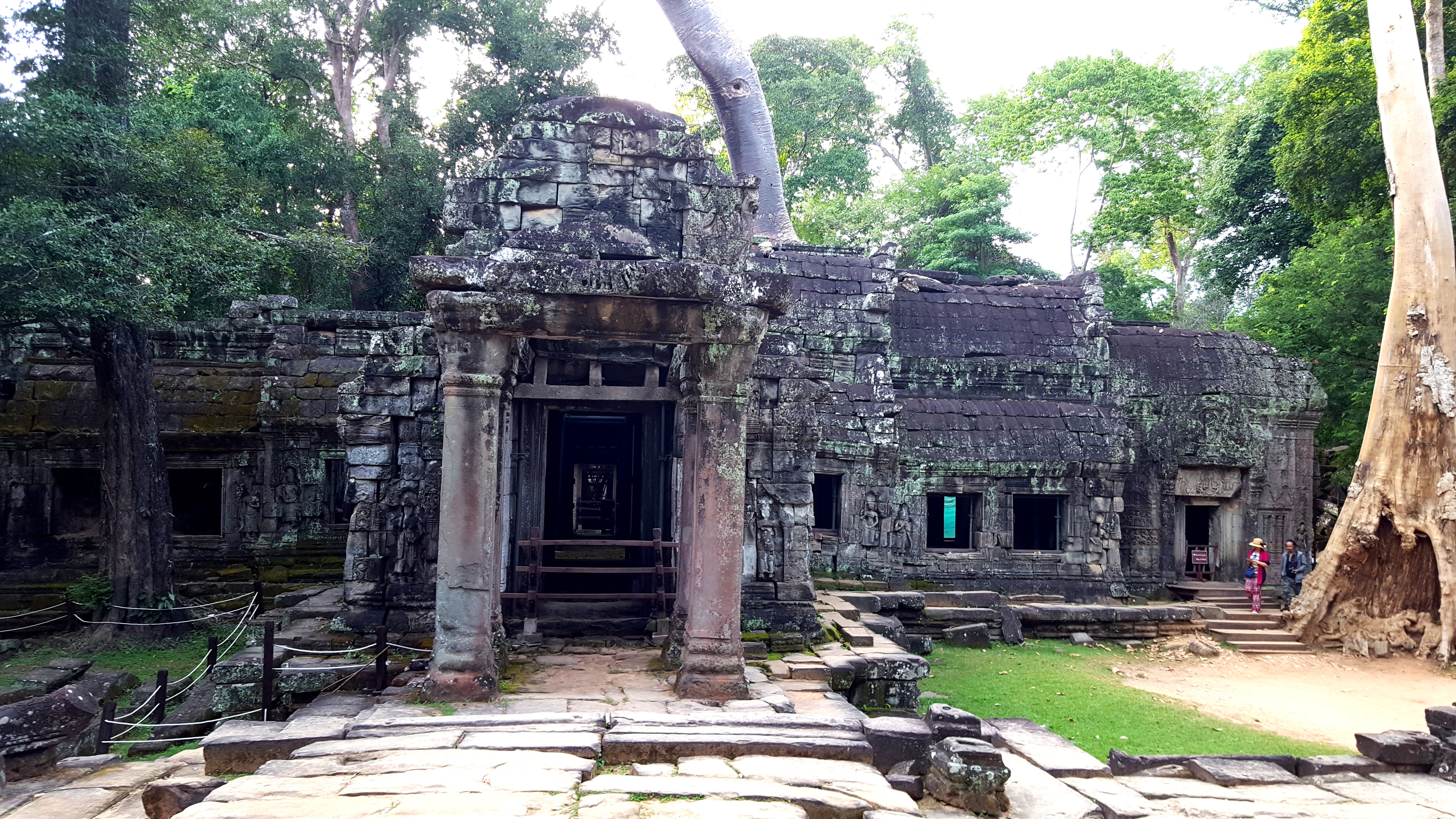 Ta Prohm šventykla